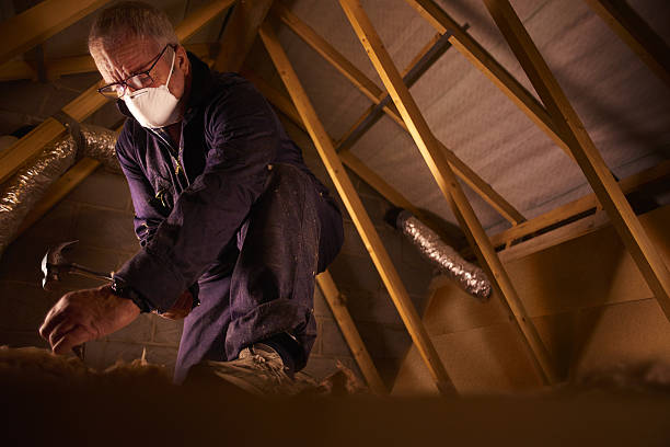 Insulation Inspection Services in North Sioux City, SD